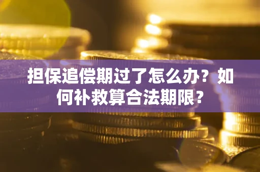 济南担保追偿期过了怎么办？如何补救算合法期限？