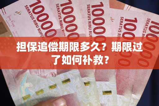 济南担保追偿期限多久？期限过了如何补救？