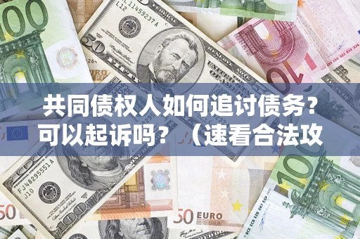 济南共同债权人如何追讨债务？可以起诉吗？（速看合法攻略）